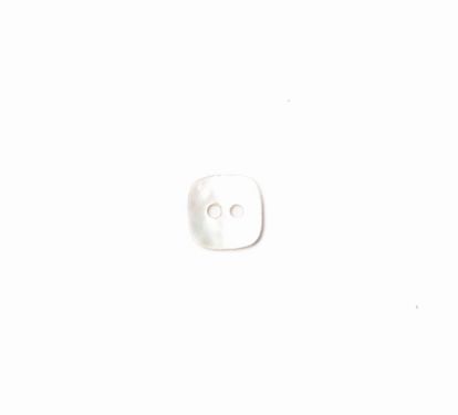 <strong>Shell Button 2B/1721</strong> <em>Crendon Buttons 2B--206</em>