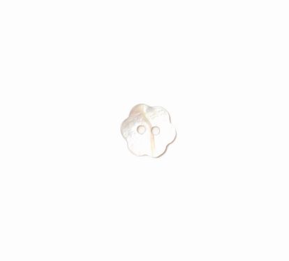 <strong>Shell Button 2B/1724</strong> <em>Crendon Buttons 2B--202</em>