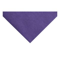 24 inch Felt Squares Craft Factory F24----