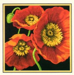 Red Poppy Trio Dimensions D71-20073