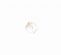 <strong>Shell Button 2B/1724</strong> <em>Crendon Buttons 2B--202</em>
