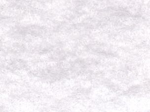 Thermolam Compressed Fleece Sew In 25m x 90cm Vlieseline 2V272