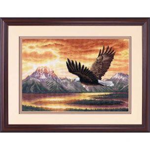 Silent Flight Cross Stitch Kit Dimensions D35165