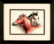 Mini Counted Horse Pals Dimensions D65030
