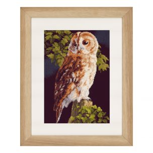 Lanarte PN-0146814 Owl Counted Cross Stitch Kit Lanarte PN-0146814