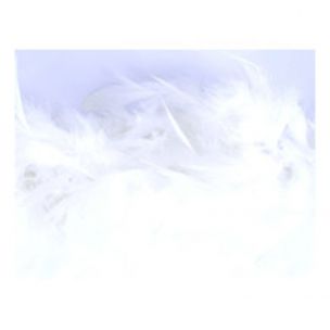 Marabou Boa approx 12cm x 1.8m Trimits TD00--